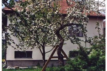 Словакия Privát Bobrovec, Екстериор